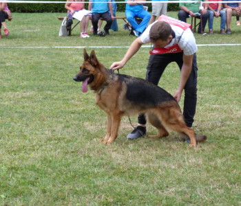 Foto: Stefan Lehnert