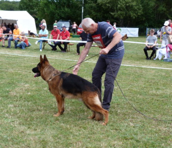 Foto: Stefan Lehnert