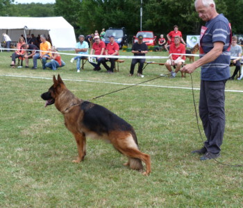 Foto: Stefan Lehnert