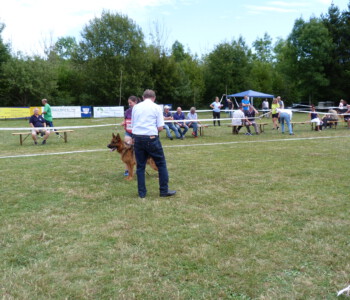 Foto: Stefan Lehnert