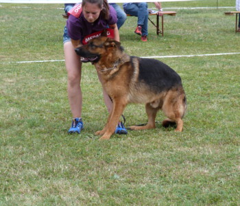 Foto: Stefan Lehnert