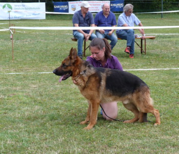 Foto: Stefan Lehnert