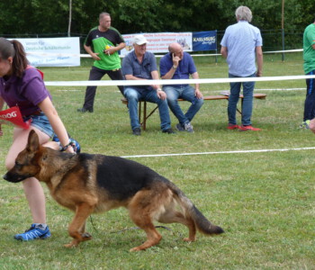 Foto: Stefan Lehnert