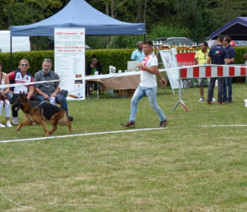 Foto: Stefan Lehnert