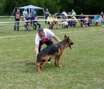 Foto: Stefan Lehnert