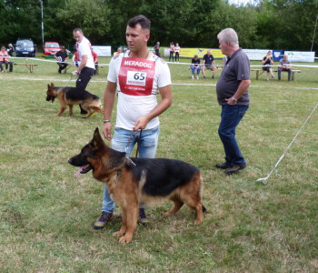 Foto: Stefan Lehnert