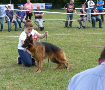 Foto: Stefan Lehnert