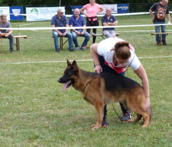 Foto: Stefan Lehnert