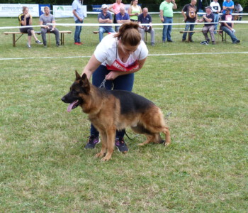 Foto: Stefan Lehnert