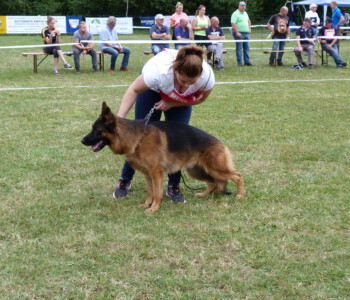 Foto: Stefan Lehnert