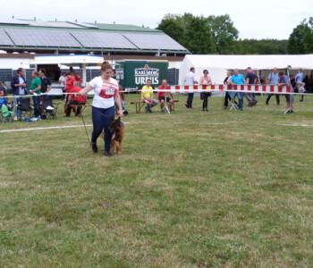 Foto: Stefan Lehnert