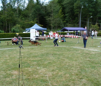 Foto: Stefan Lehnert