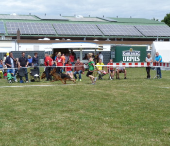 Foto: Stefan Lehnert