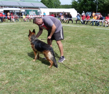 Foto: Stefan Lehnert