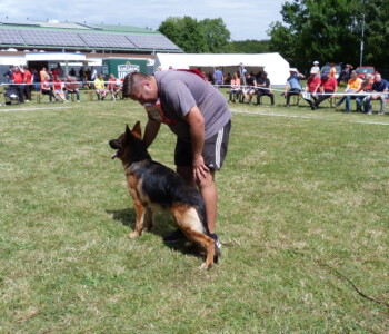 Foto: Stefan Lehnert