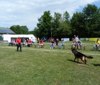 Foto: Stefan Lehnert