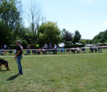 Foto: Stefan Lehnert