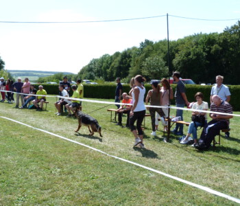 Foto: Stefan Lehnert