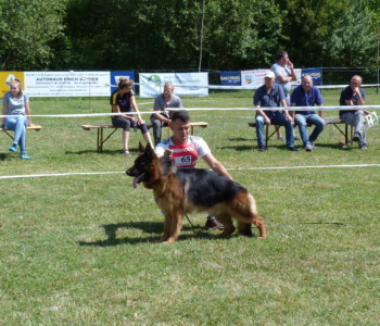 Foto: Stefan Lehnert