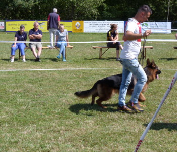 Foto: Stefan Lehnert