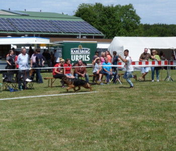 Foto: Stefan Lehnert