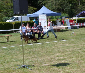 Foto: Stefan Lehnert