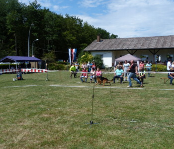 Foto: Stefan Lehnert