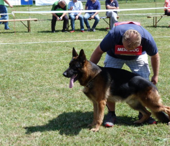 Foto: Stefan Lehnert