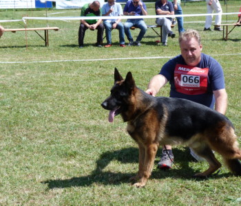 Foto: Stefan Lehnert