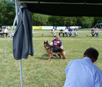 Foto: Stefan Lehnert