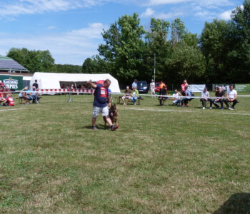 Foto: Stefan Lehnert