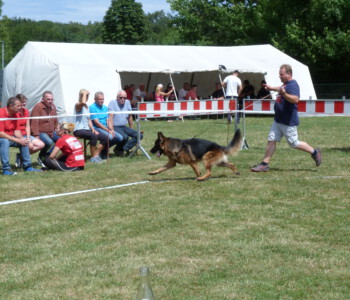 Foto: Stefan Lehnert