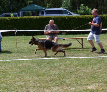 Foto: Stefan Lehnert