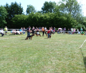 Foto: Stefan Lehnert