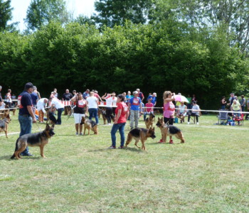 Foto: Stefan Lehnert