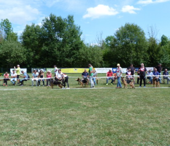 Foto: Stefan Lehnert