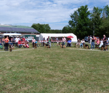 Foto: Stefan Lehnert