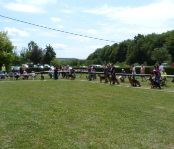 Foto: Stefan Lehnert