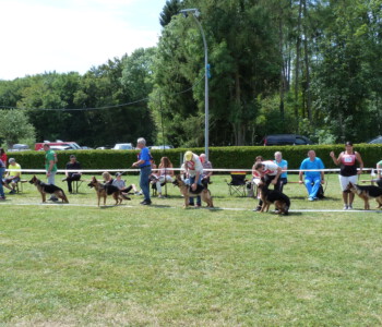 Foto: Stefan Lehnert