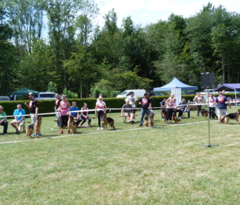 Foto: Stefan Lehnert