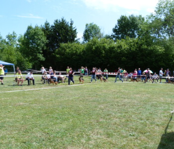 Foto: Stefan Lehnert