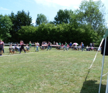 Foto: Stefan Lehnert