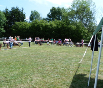 Foto: Stefan Lehnert