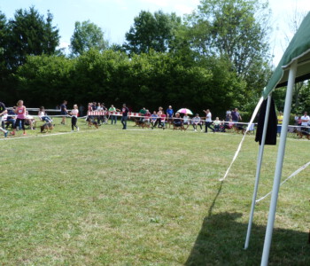 Foto: Stefan Lehnert