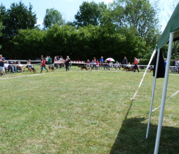 Foto: Stefan Lehnert