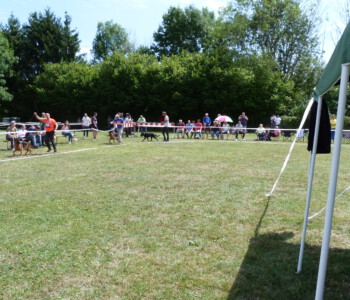 Foto: Stefan Lehnert