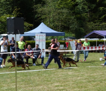 Foto: Stefan Lehnert