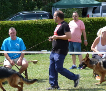 Foto: Stefan Lehnert