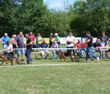 Foto: Stefan Lehnert