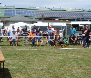 Foto: Stefan Lehnert